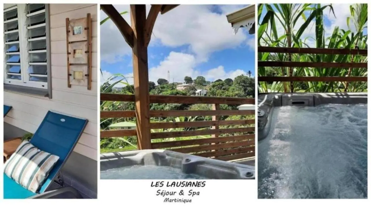 Dom wakacyjny Willa Les Lausianes Gros-Morne Martynika