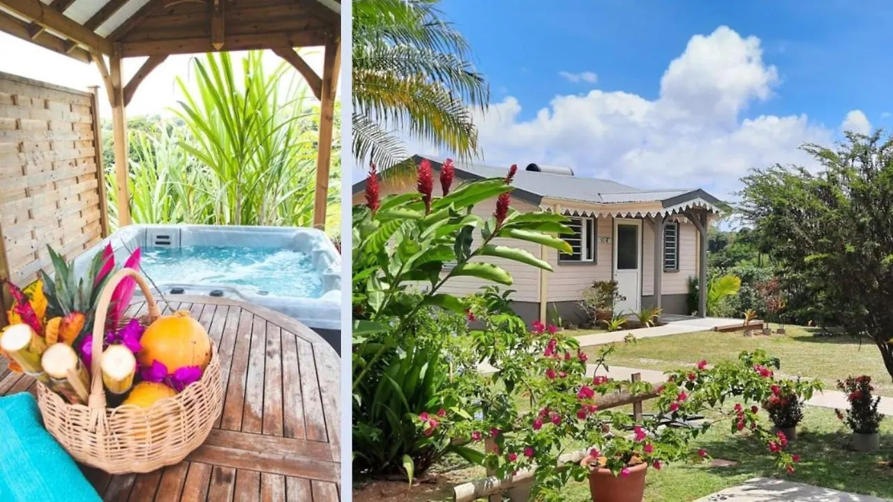 Les Lausianes Villa Gros-Morne