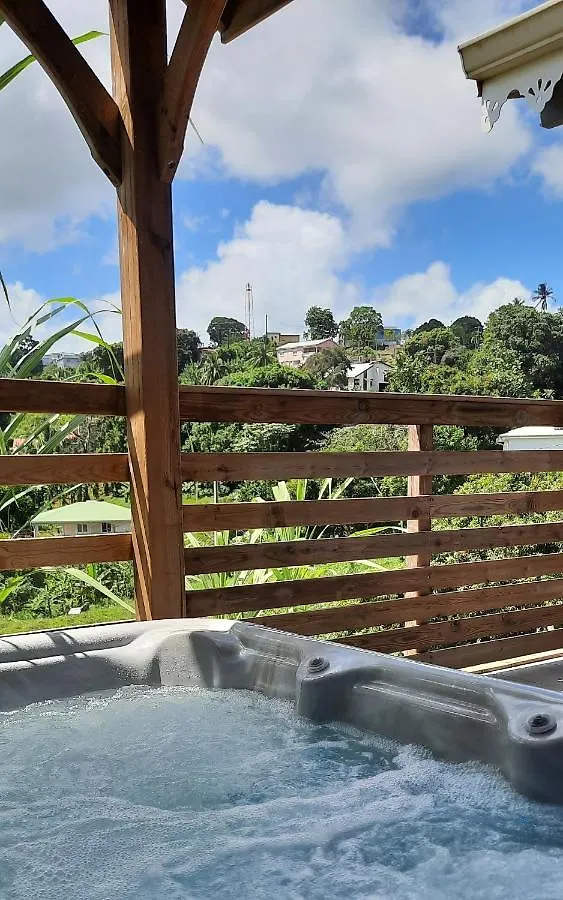 Les Lausianes Villa Gros-Morne 0*,